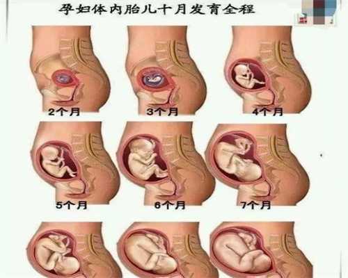 上海最权威供卵生殖中心排行榜三代试管包生男孩收费明细