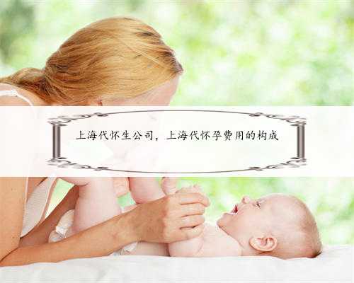 上海代怀生公司，上海代怀孕费用的构成